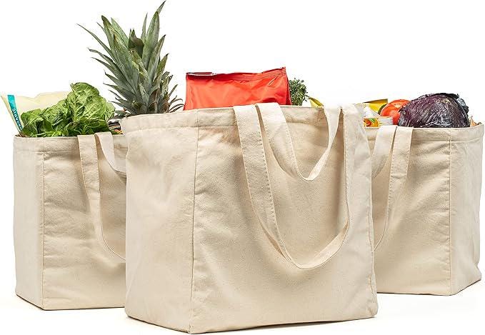 Embroidered Canvas Tote Bag – "I Am From the 1900s" Vintage Humor Grocery Bag